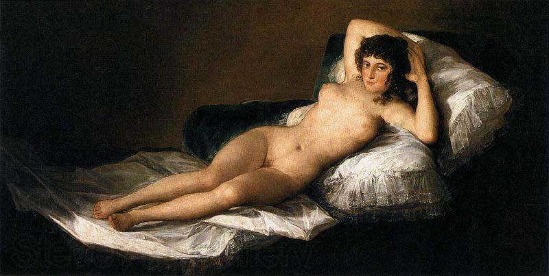 Francisco Goya The Nude Maja Spain oil painting art